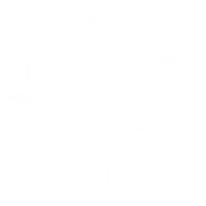 Artist Wellness Initiative