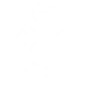 Collaborative Arts Initiative