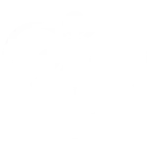 Community Reachback Initiative